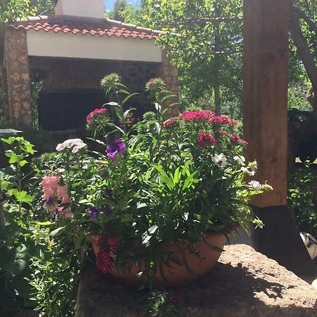 Casas Rurales La Huerta Hotel Salobre  Eksteriør billede