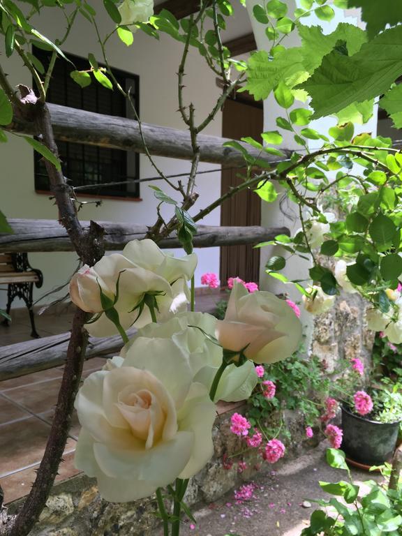 Casas Rurales La Huerta Hotel Salobre  Eksteriør billede
